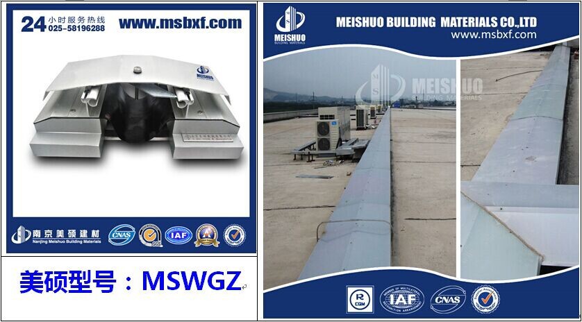 MSWGZ效果图