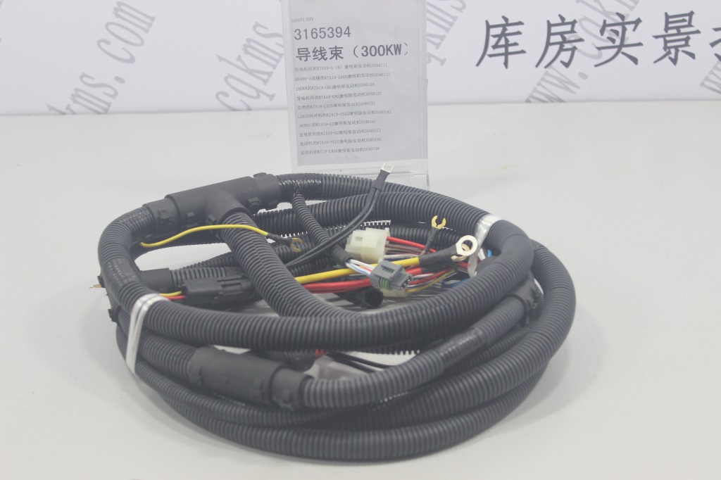 kms01399-3165394-康明斯导线束(300KW)-参考规格长436.3cm-参考重量900-图片1
