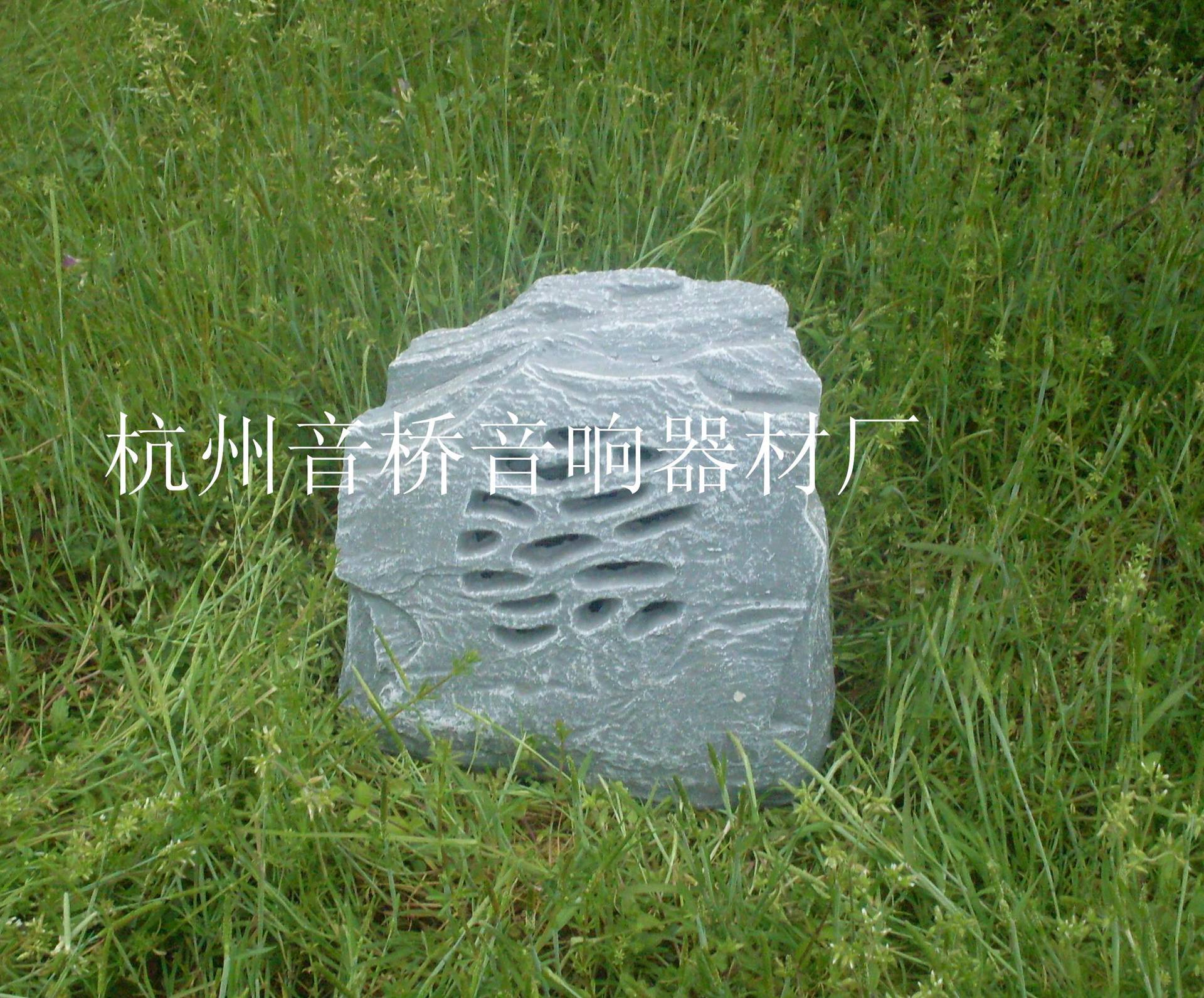 SDC12802