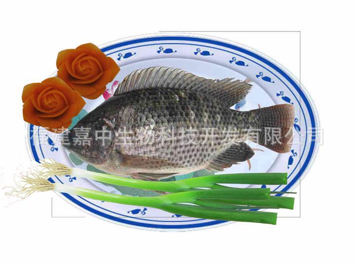 罗非鱼下巴 烧烤 腹肉 二去罗非鱼 去鳞去脏罗非鱼 条