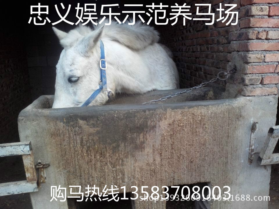 wifi0s02135857277IMG_20140222_