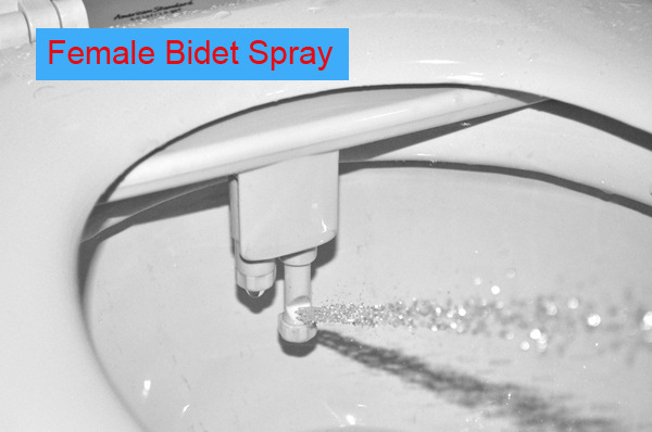 T8200 bidet nozzle02