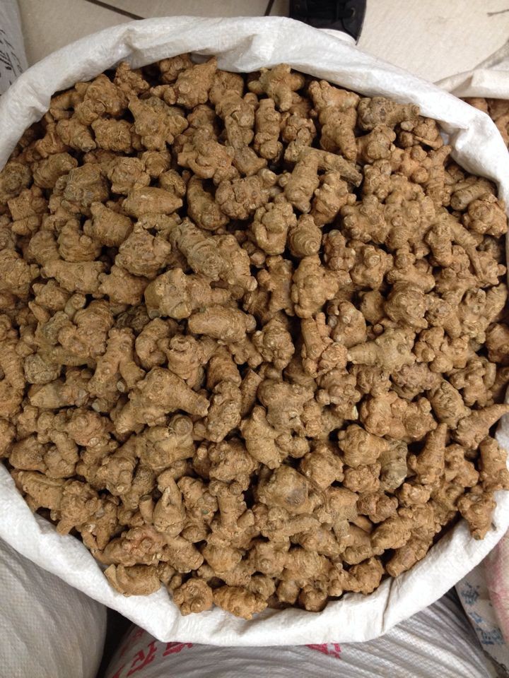 云南文山三七30头 水洗本色 有机春特级田七 三七精品 春三七 图片_高清大图 - 阿里巴巴