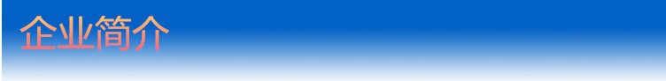 企業簡介