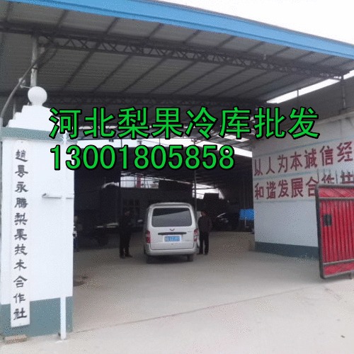 rh1626rbv477oj1c8gph2ot5r7_2