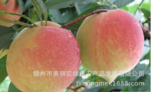 QQ图片20140703153514
