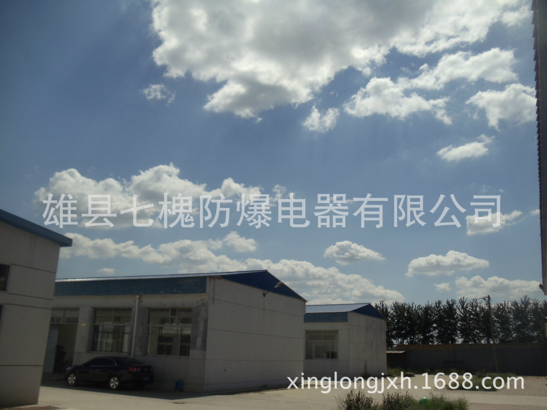 DSC00386