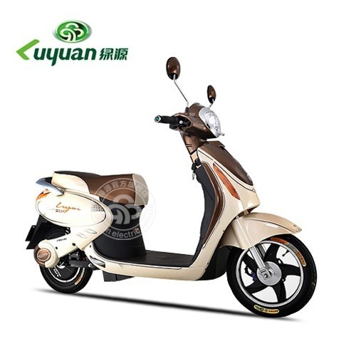 种-泰国花奇莲藕种--阿里巴巴采购平台求购产品