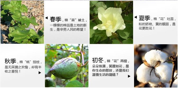 T2.VLiXkVaXXXXXXXX_!!738759878