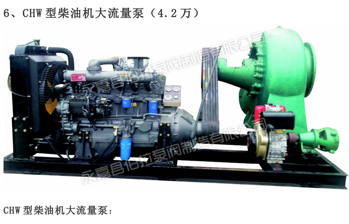 6 CHW型柴油機大流量泵 (1)