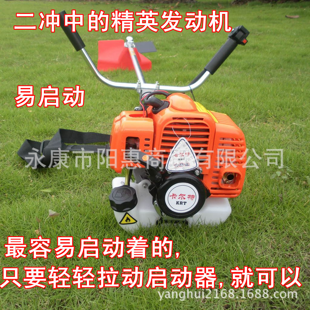 照片 1037_副本