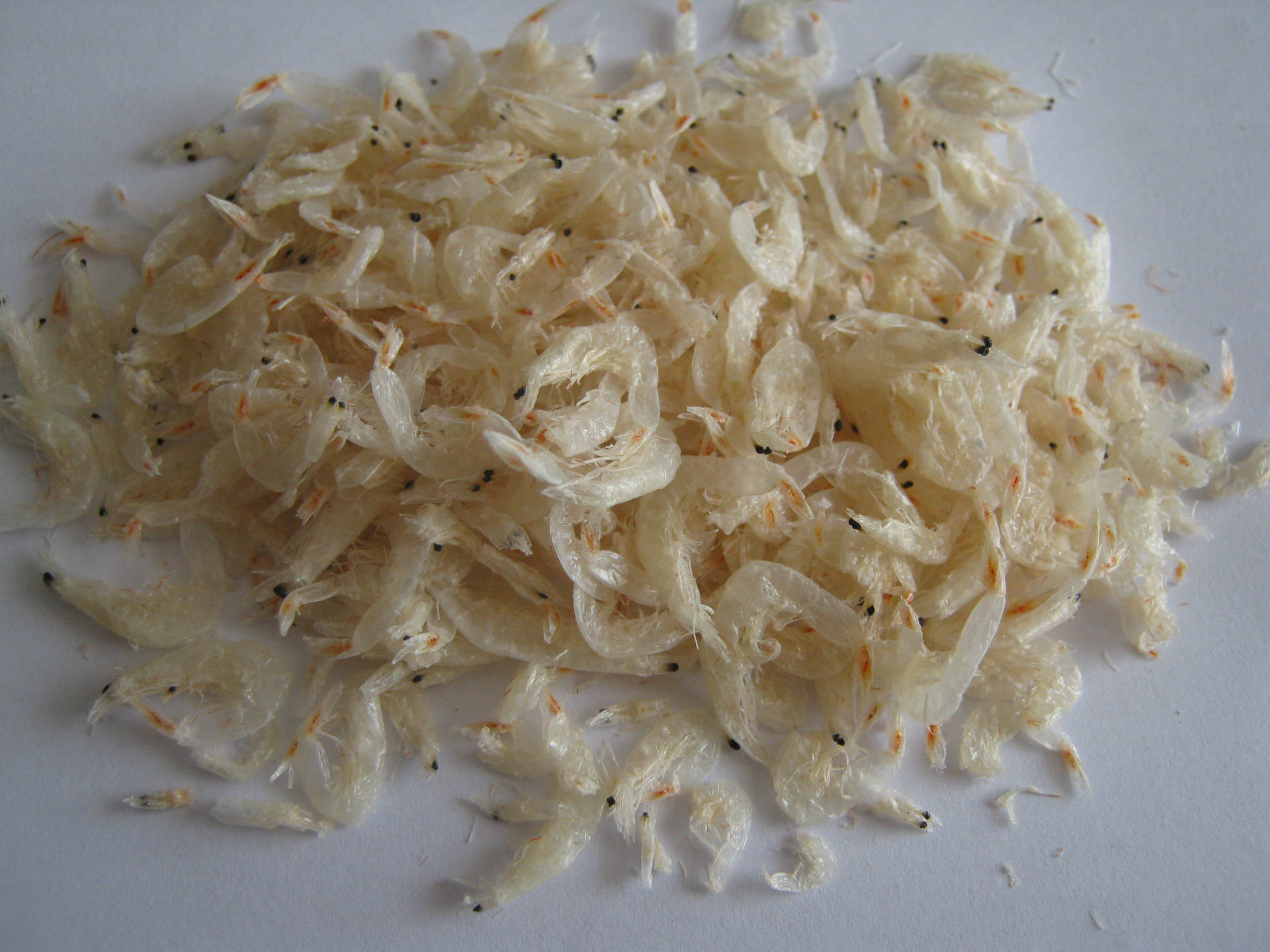 【厂家直供 野生无盐淡干 小虾皮 孕妇 宝宝 老