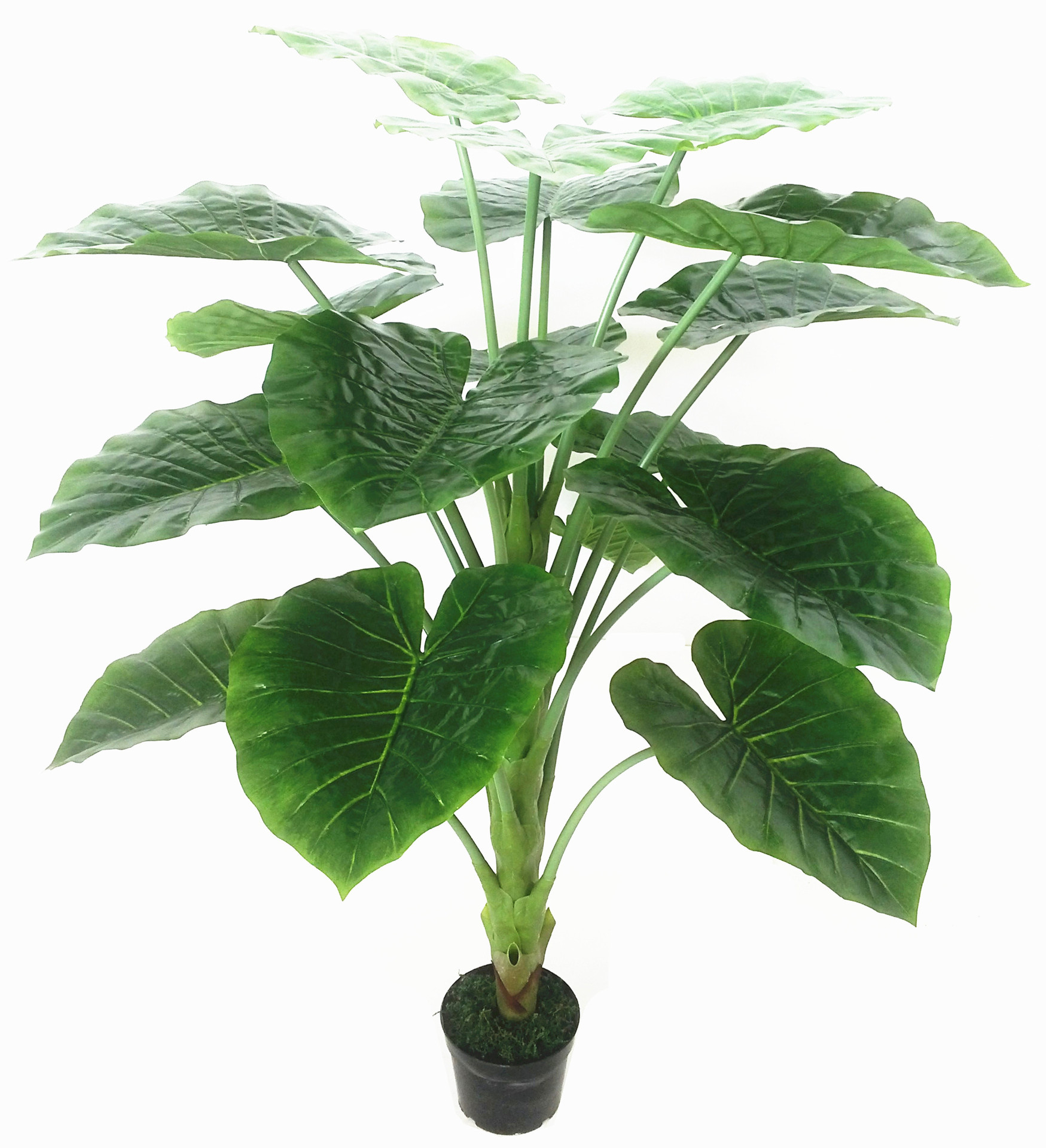 0686 皮管18头海芋