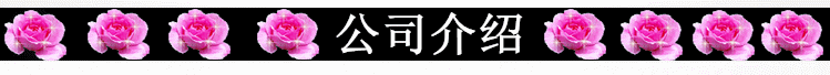 公司介绍