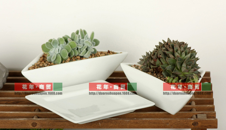 三角形状带托盘拼盆 多肉植物陶瓷白瓷花盆图片,三角形状带托盘拼盆