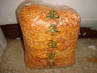 产地大量批发新鲜虫草花(北虫草0