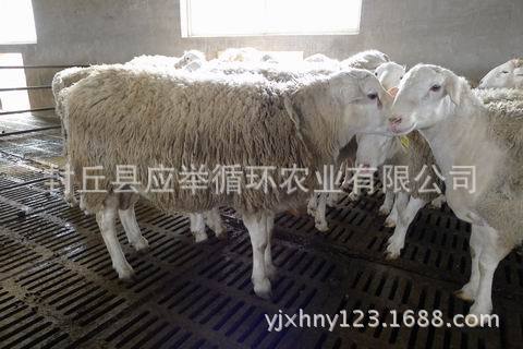 调整大小 P1090924