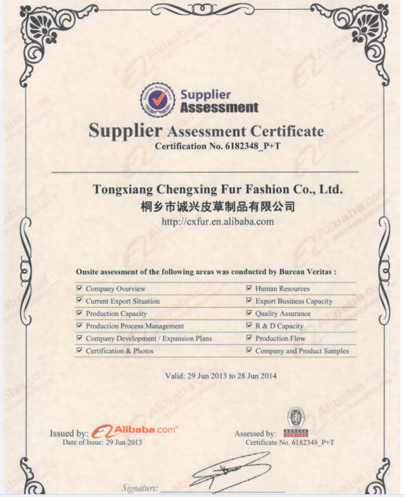 Supplier Assessment