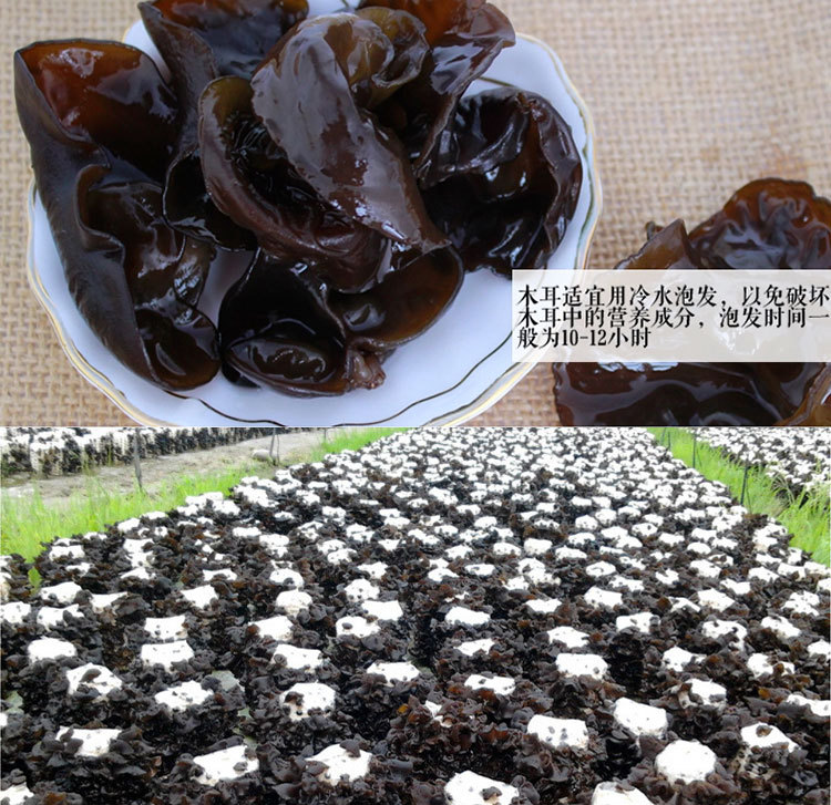 无根黑木耳干货特级 批发   上一个 下一个> 举报  品种:黑木耳 种类
