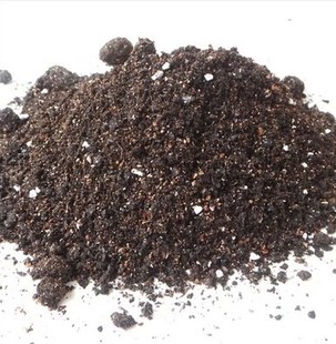 微景观 多肉植物专用土200g 园艺植材 园艺营养土 含肥料多肉土