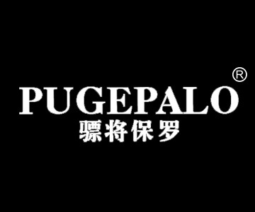 骠将保罗商标转让 带R服装商标转让25类 入驻