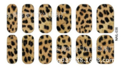 HC-NAIL-036