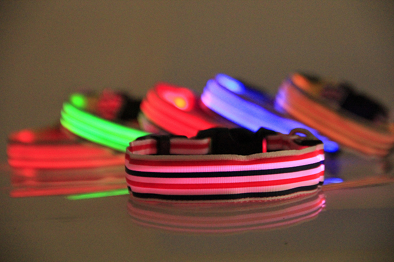 水手LED发光狗项圈 挺好品牌 (19)