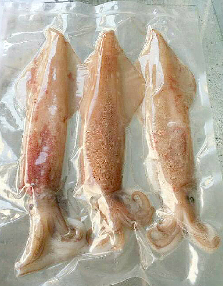 五钻供应] 鱿鱼 北纬七度卷 烧烤餐厅 冷冻 进口海鲜