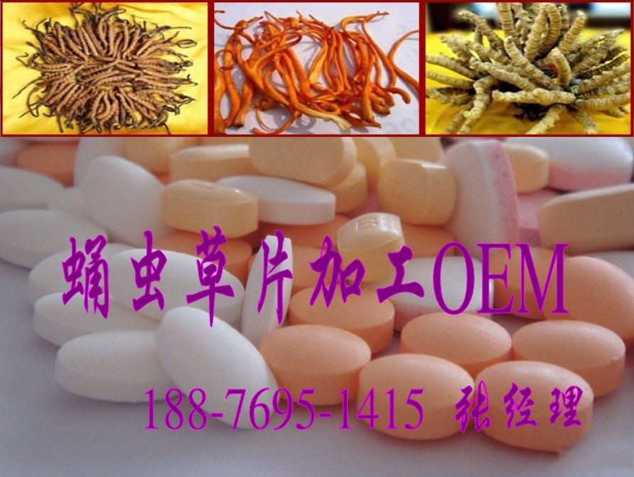 业代加工蛹虫草片、蛹虫口服液加工
