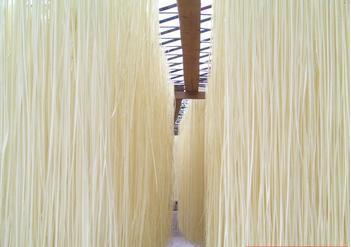 面条11