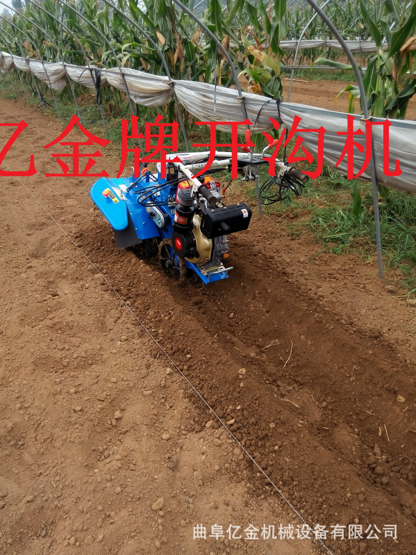 IMG_20140828_094651(1)