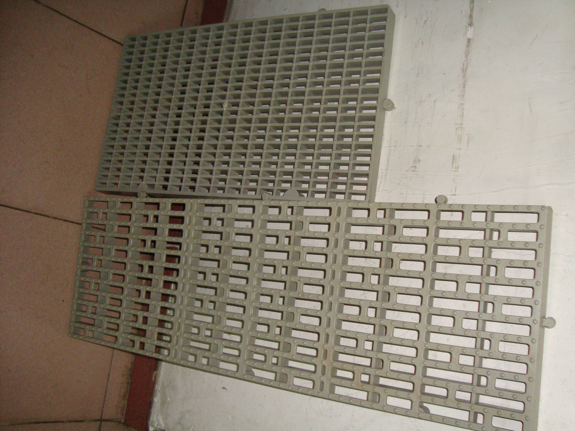 DSC02420