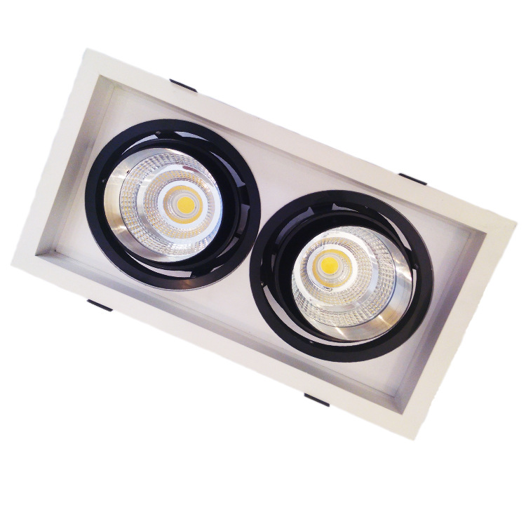 LED斗胆灯 LED豆胆射灯 双头cob2*20W 精品商照射灯 厂家直销 正品保证
