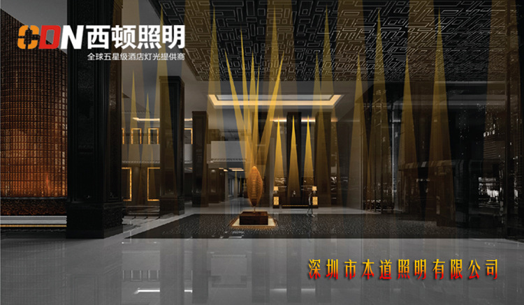 西顿案例1