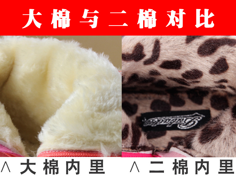 大棉與二棉的對比圖