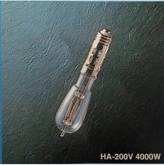 HA-200V 4000W