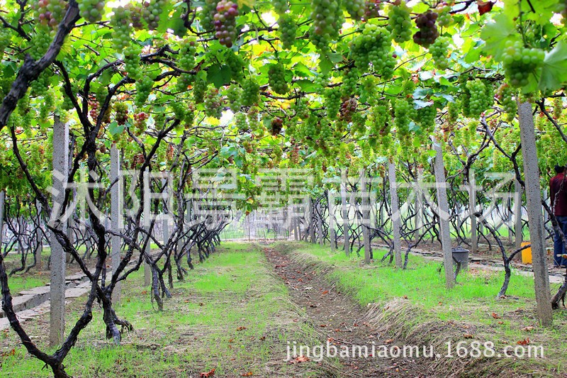 Cg-4WVPRFqCIZwSzAAXCDvhxD2kAAP