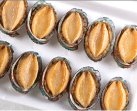 其他鲜活水产加工制品-3头无公害鲍鱼、南日鲍