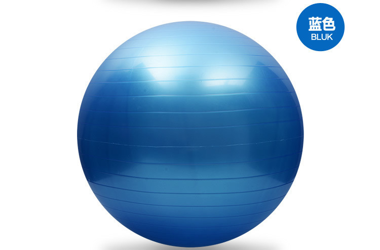 瑜伽球-飞尔顿瑜伽球65cm环保彩色55cm直径