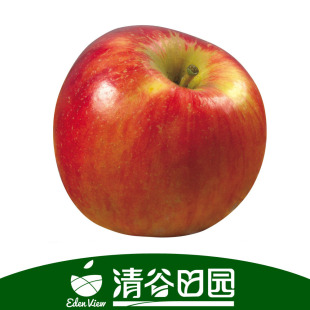 苹果-清谷田园 玉华早富 新鲜水果批发产地 国