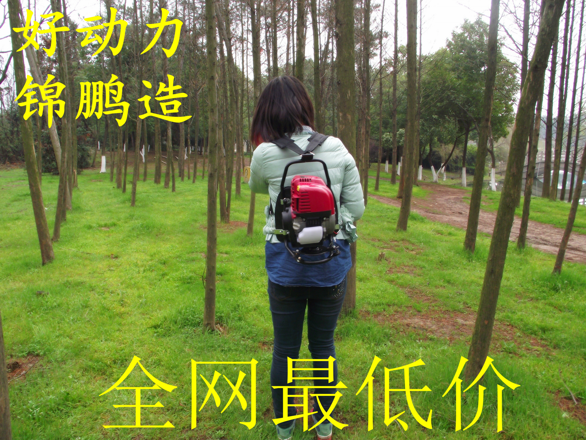 DSCF0080