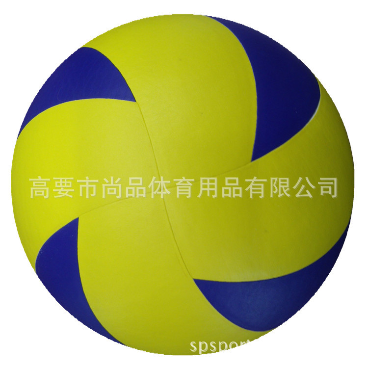 贴皮排球蓝白2