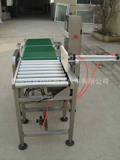 包装辅助设备-重量选别秤厂家出售DEM100皮