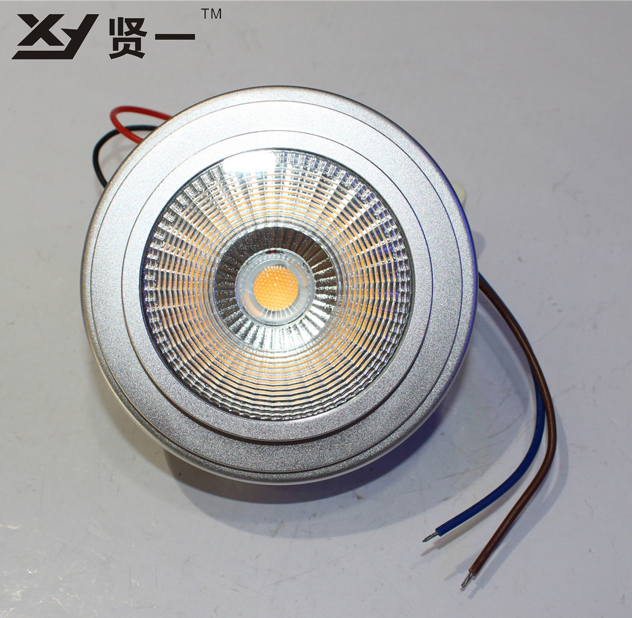 LED斗胆灯内胆 LED斗胆灯内胆 COB15W 商照专用 生产周期短 厂家直销