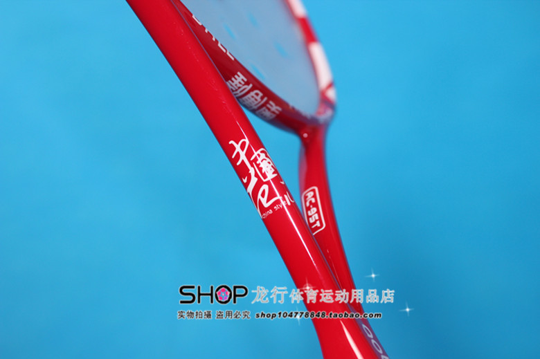 IMG_3062_副本龙行