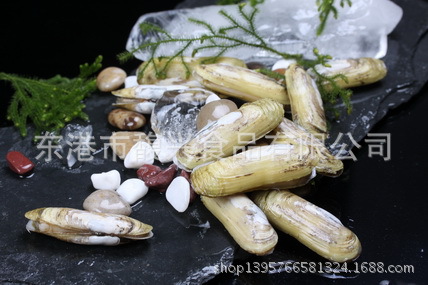 优质小人仙尽在东港馥兴食品