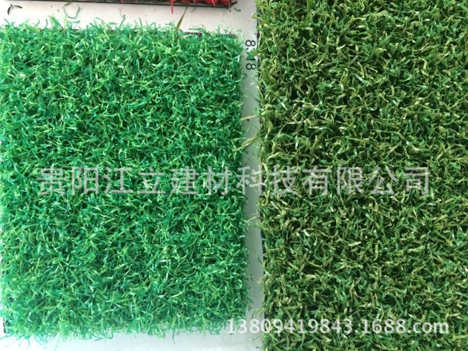 篮球场高尔夫场草坪