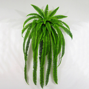 48叶尖尾波斯草 波斯草绿色 专业生产塑料仿真植物 人造植物图片