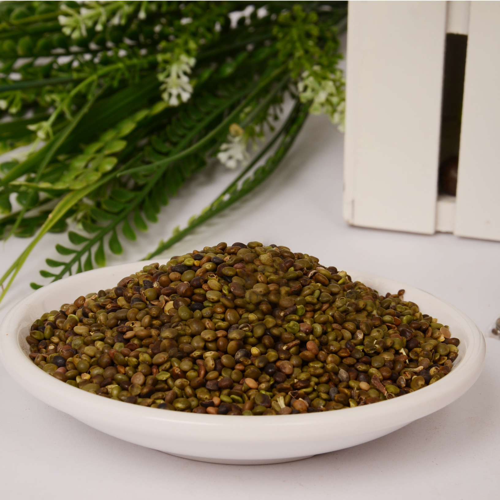 种苗-夏普蓝蓝莓种苗--阿里巴巴采购平台求购产