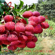 湖南荔枝_湖南荔枝价格_优质湖南荔枝批发\/采